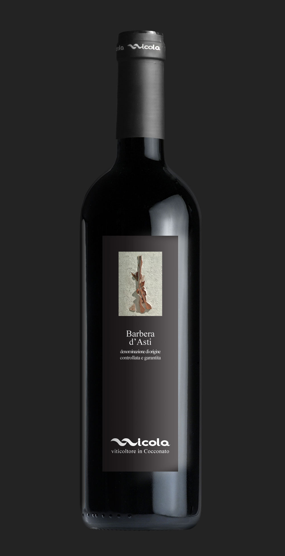nicola-vini-bottiglia-etichetta-barbera2